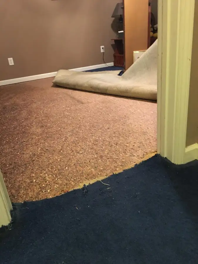 Carpet pad removal revealing water damage during Water Mitigation Services in Canonsburg