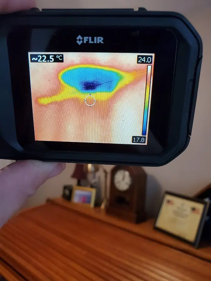 Thermal imaging inspection for water damage in Canonsburg