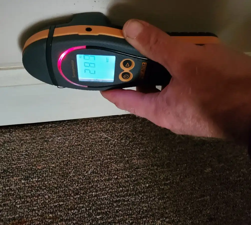 Moisture detection at baseboard during Sewage Cleanup & Sanitation in Canonsburg